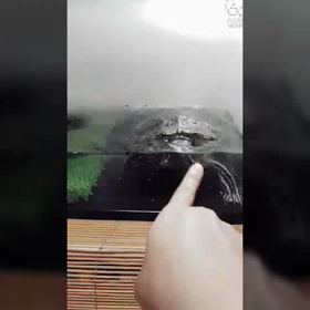 前言撤回(｡-w-)の画像