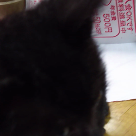 サスケが……の画像