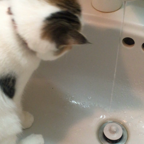 濡れてもへーき！の画像