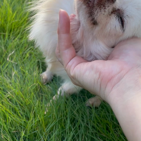 風がビュービューの画像