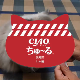 レムちゅーるの画像