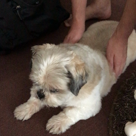 ちょっと心配な症状の画像