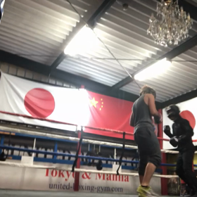 ナベちゃん頑張るの画像