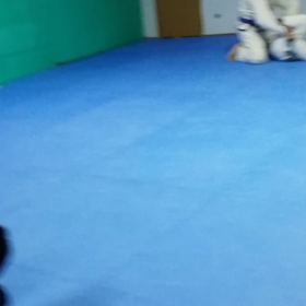 今日は柔術ですの画像