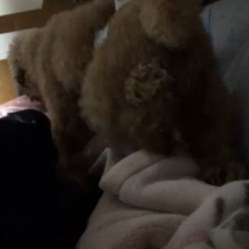 お兄ちゃんと・・・の画像