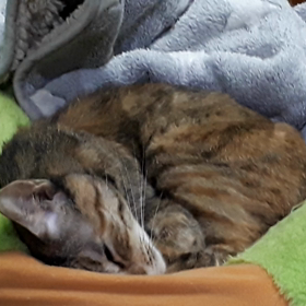 本日、術後の経過観察の日の画像