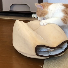 壊し屋。の画像