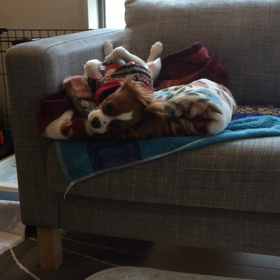 あーーーーー！！！！の画像