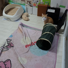 おはよう☀️❗の画像