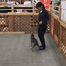 合同レッスン　エース編の画像