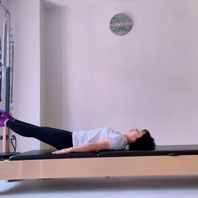 パラキートの画像