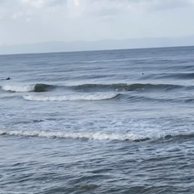 午後からはミドルレングス  で波乗り自撮り動画の画像