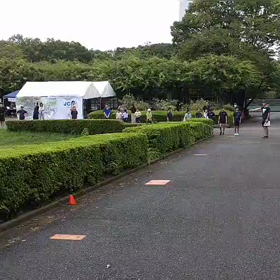 リレー選考会　スタート付近②の画像