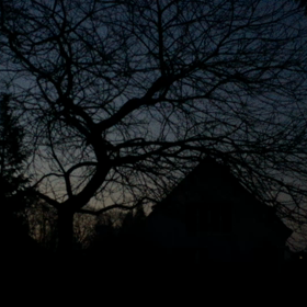 鳥の鳴き声で目覚めるドイツの朝の画像