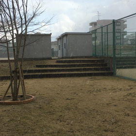 福岡市の雪しまくの画像