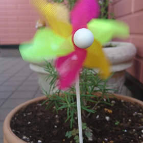 優しい秋の風の画像