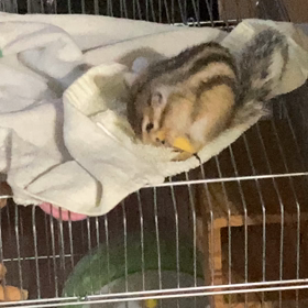 校長先生との画像