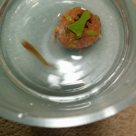 やっと食べた ✨の画像