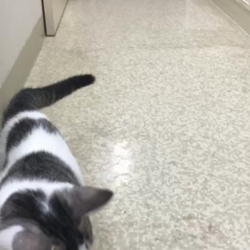 もっといでの画像