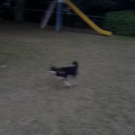 風強いけどお散歩だよ(^ー^)の画像