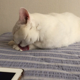 なんか　まちがってねーか？の画像