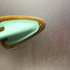 2018.11.21：おふろそうじの時のテンちゃんの画像