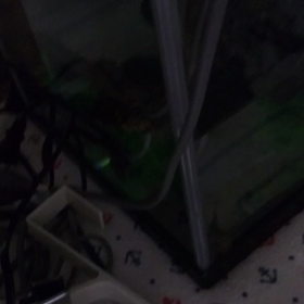 何が起きたの？セスジロー。笑の画像