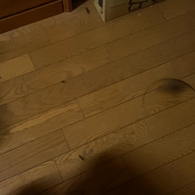 へーんじゃね〜の画像