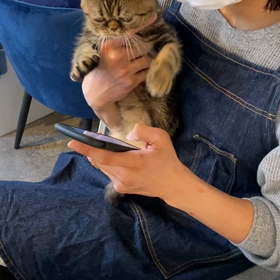 とらくんの画像