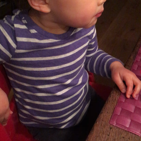 撮れた！の画像