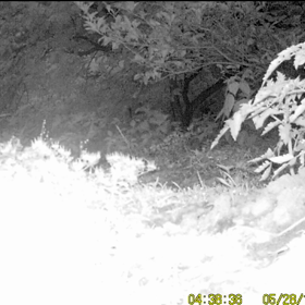 ぎぴたんの事件簿シーズン２　４４話の画像