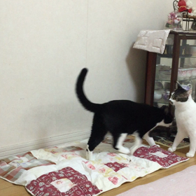 悪い予感の画像