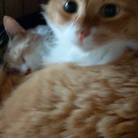 幸せだね〜♡の画像