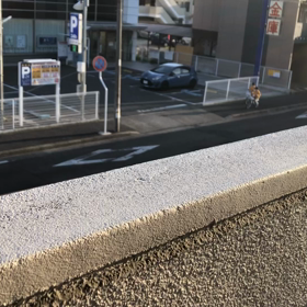 自転車に乗っている双子をこっそり撮るの画像