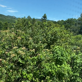 楽しくなってきたの画像