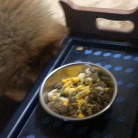 手作りご飯START生活の画像