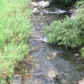 渓流の涼新たの画像