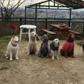 稲荷山で集合写真の画像