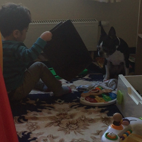 入ってよ！の画像