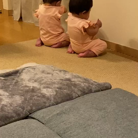 コント？の画像