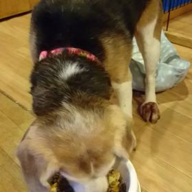 お誕生日のお祝いコメントありがとうございましたの画像