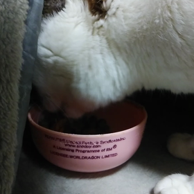 なるの様子の画像