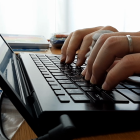 小鳥さん、仕事のじゃまをするの画像