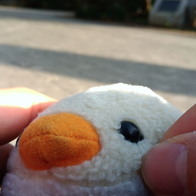 ピーコと私　ﾌﾟﾘﾌﾟﾘ170の画像