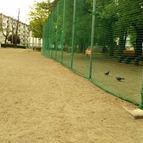 無題(鳩の群2）の画像