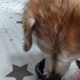 ケーキその2の画像