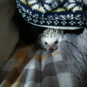 ♯ケージより、ここがいいの。。。♯の画像