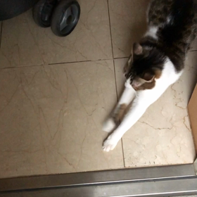 やっとゆっくり携帯ゲーム！えー私もデールも…やだー,の画像