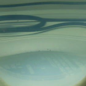 ミジンコジコジコ  パート3の画像