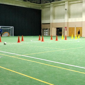 2/24(水)　赤レンガ動画４　わざとぶつけてるのかルイの画像